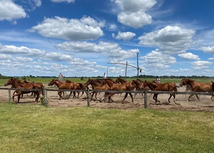 Apartmán Trofea Hévíz